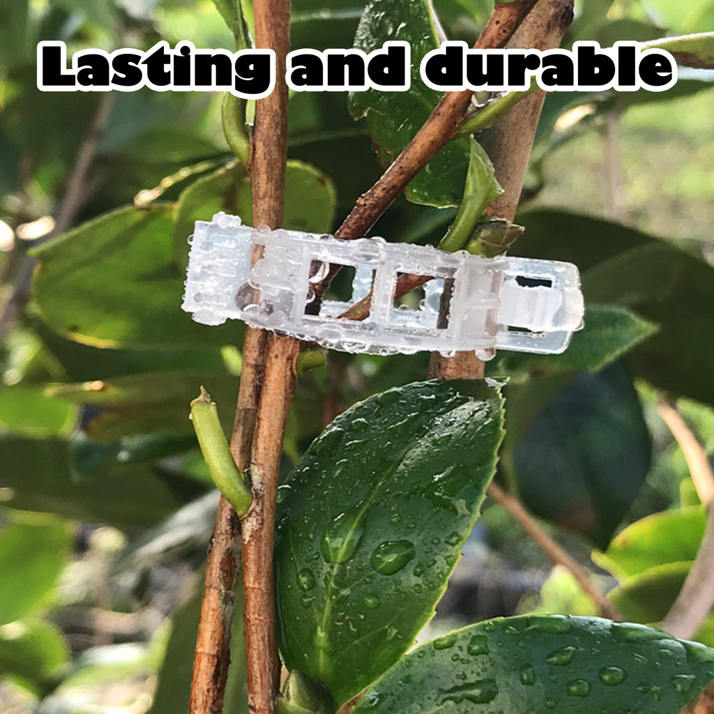 100 Counts Plant Support Clips, White Adjustable Trellis Clips for Vegetable Plants, Plastic Plant Supporters for Secure Support, White